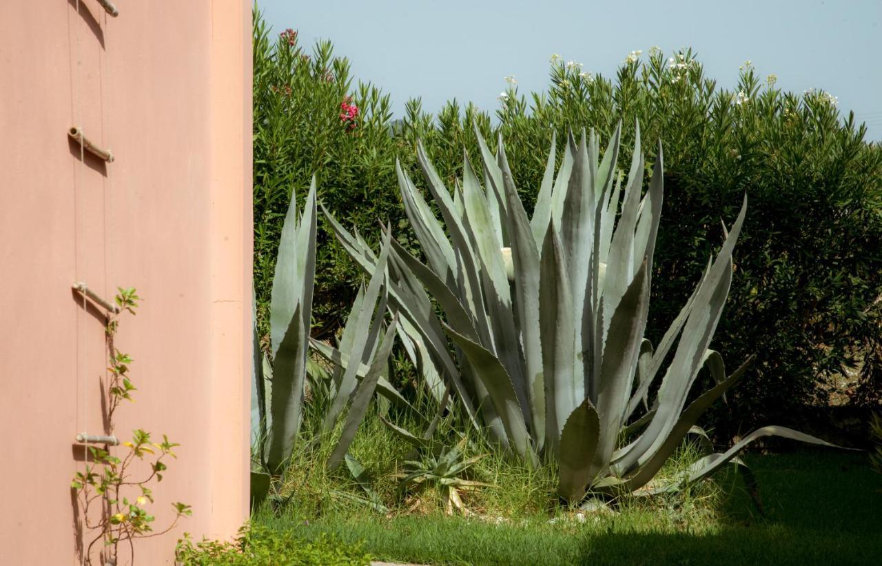 Ecoresort Hotel Zefyros Áyios Kírikos Esterno foto